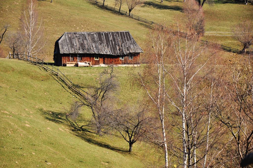 Samedru Hotel Magura  Exterior photo